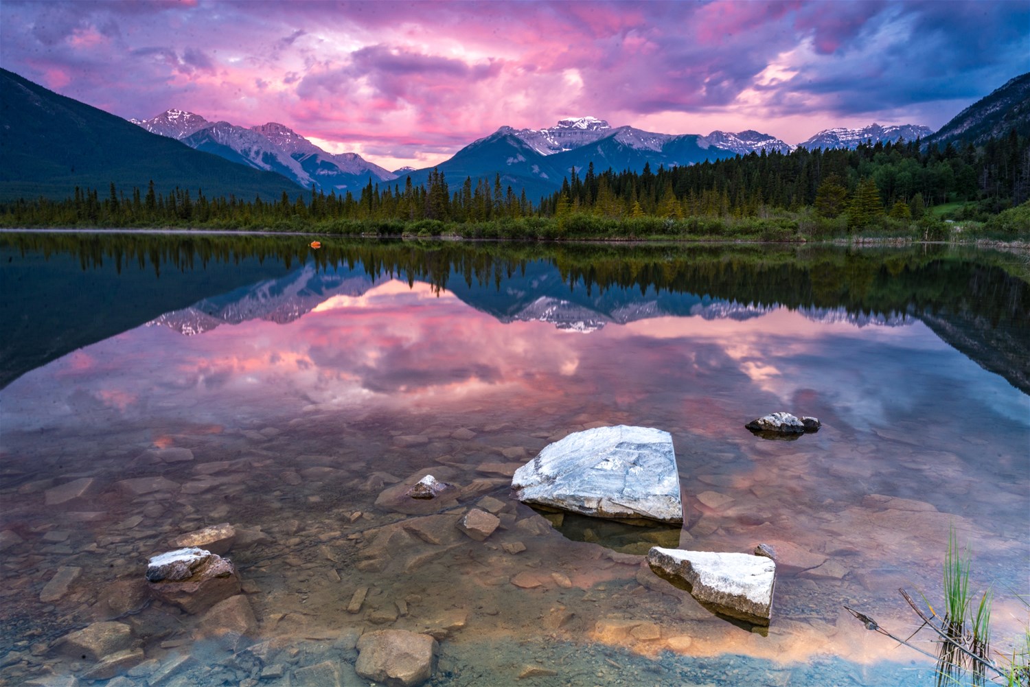 Western Canada Trailfinders