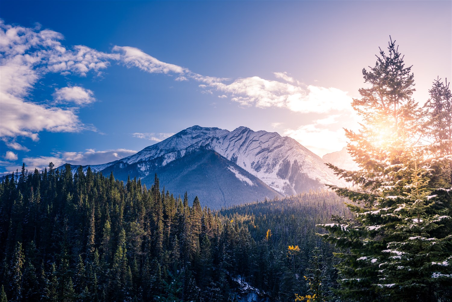 Banff & Beyond