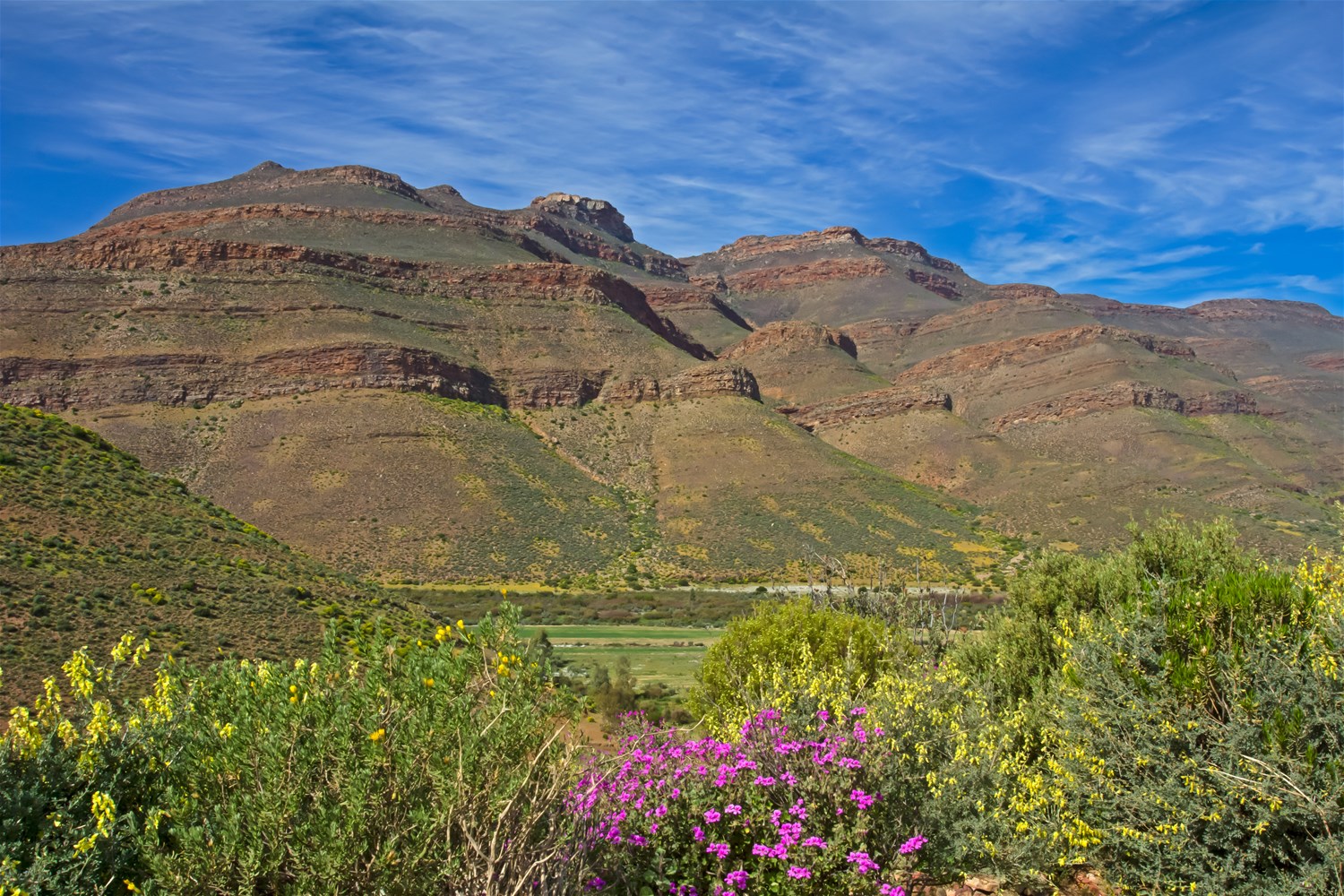 Cederberg Mountains & Paternoster