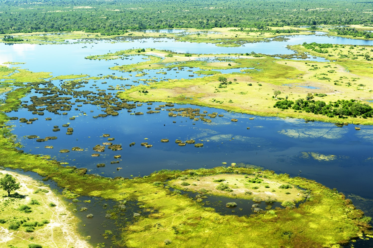 Okavango Delta