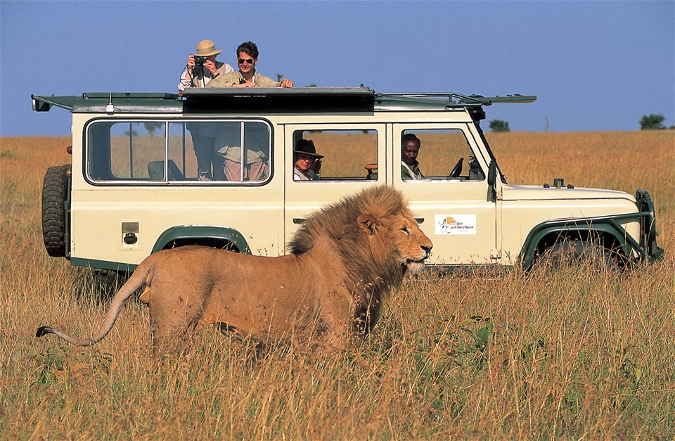 dream tours and safari