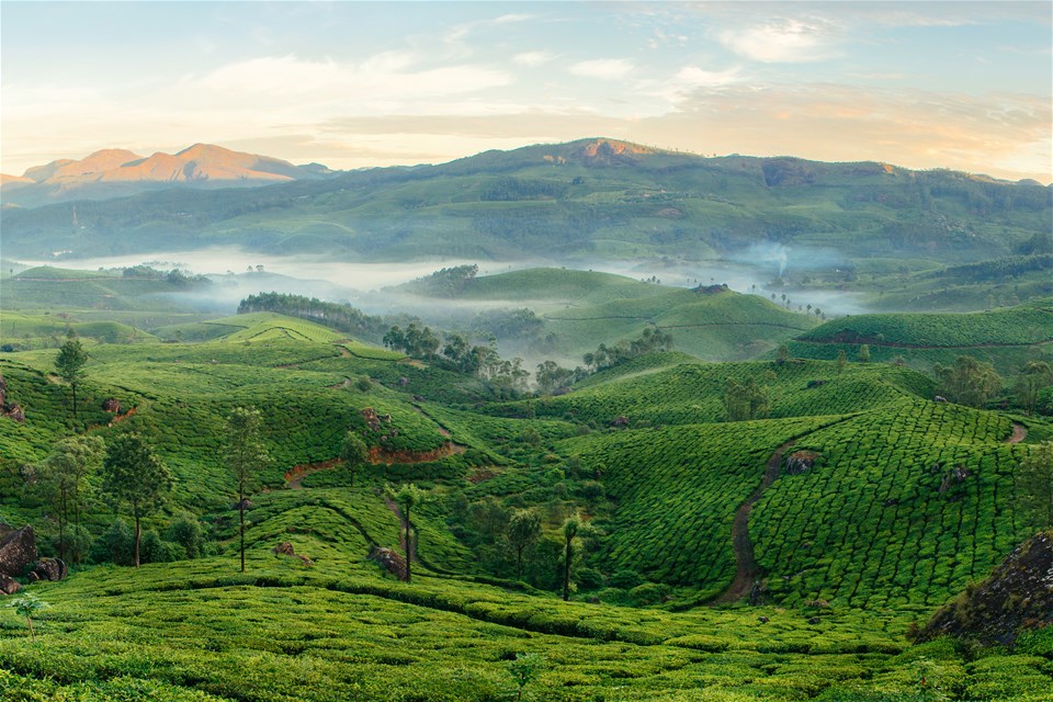 Misty Mountains and Beautiful Backwaters