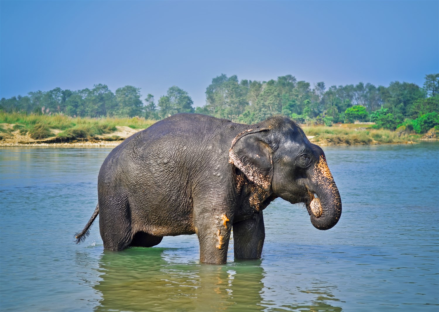 Chitwan National Park