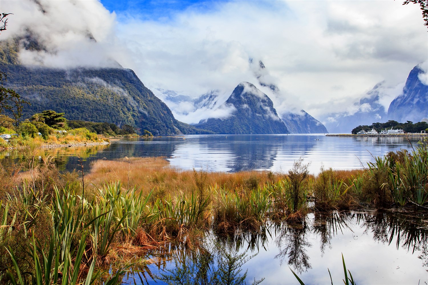 New Zealand & the Pacific