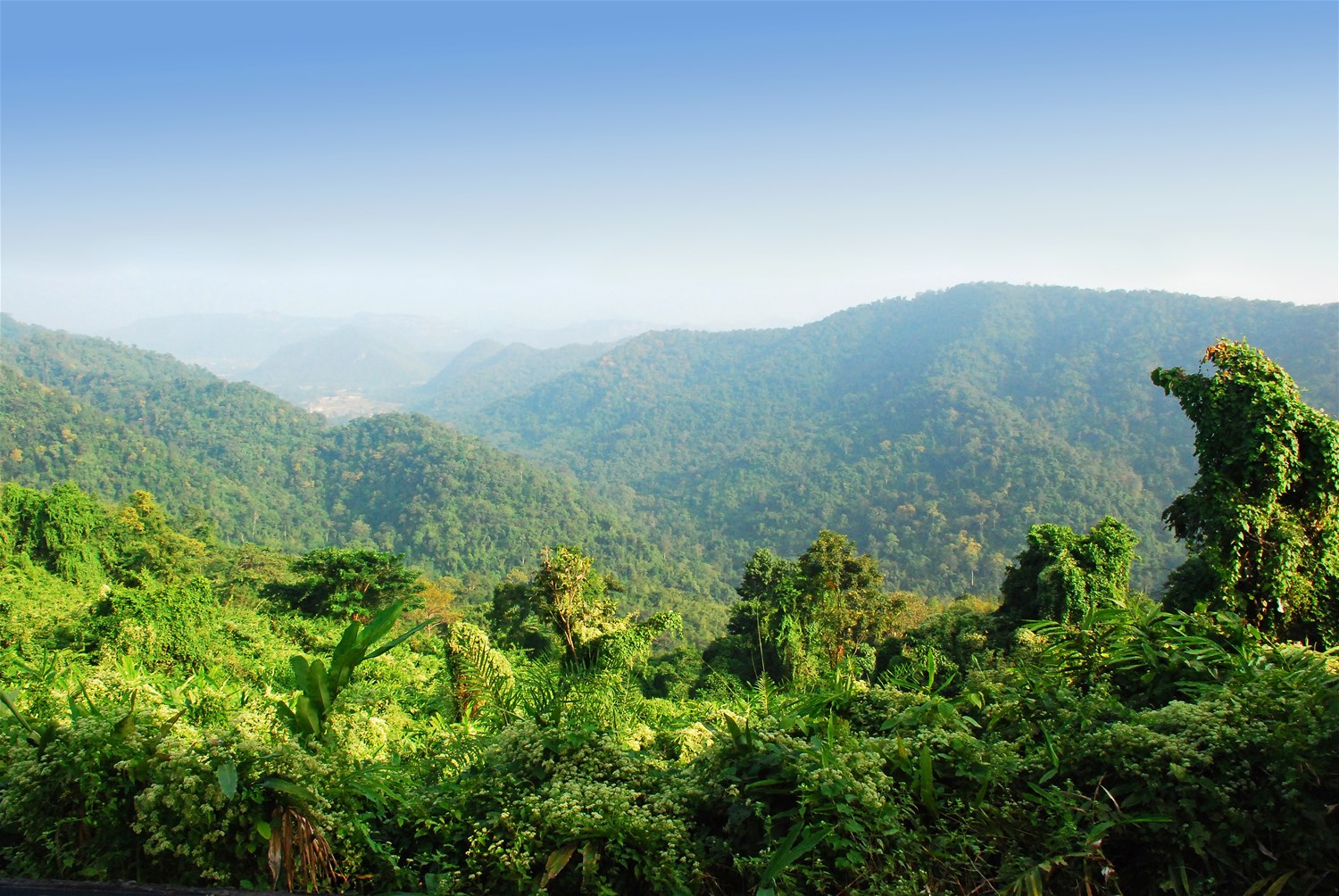 Khao Yai