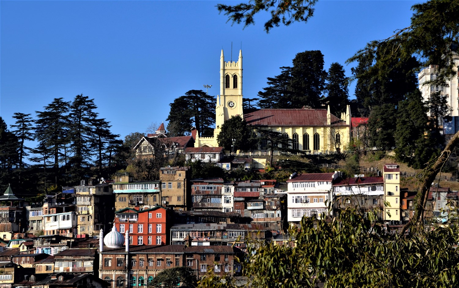 Shimla