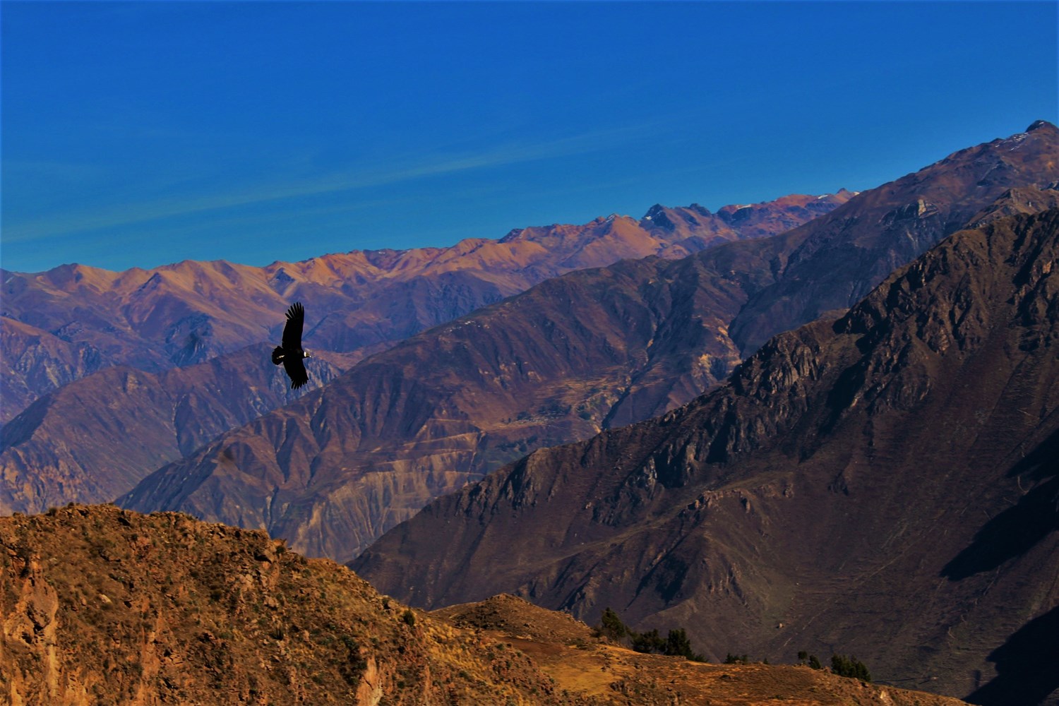 Colca Valley