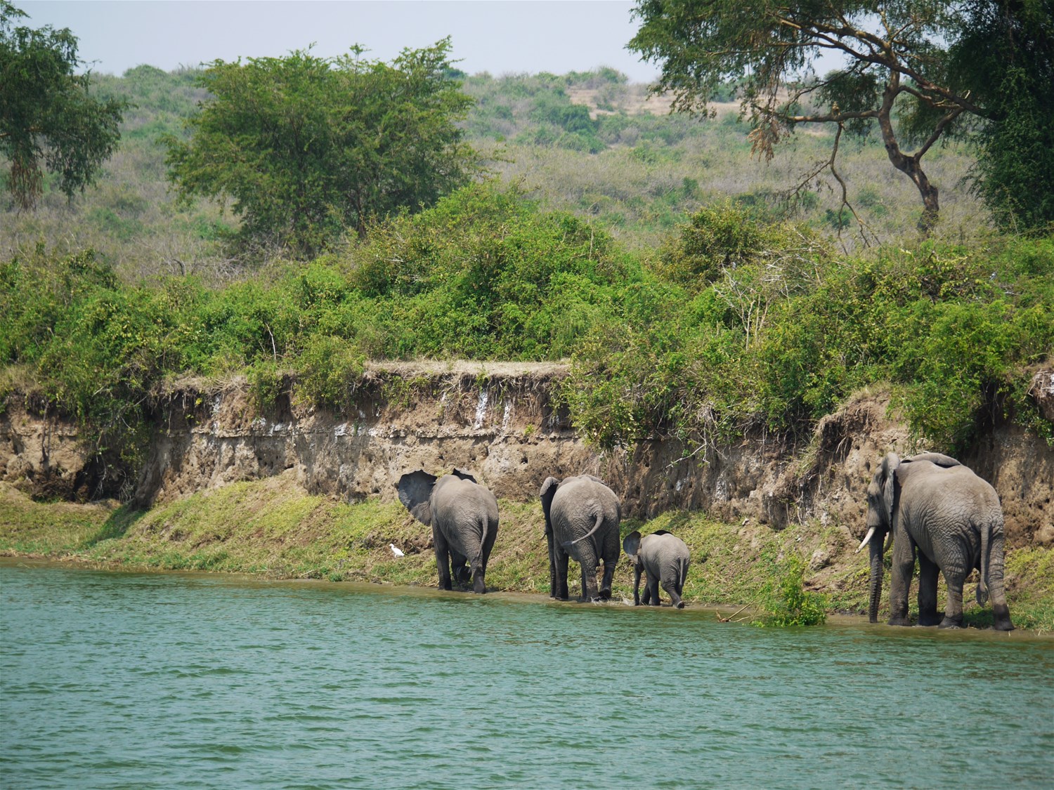 Queen Elizabeth National Park