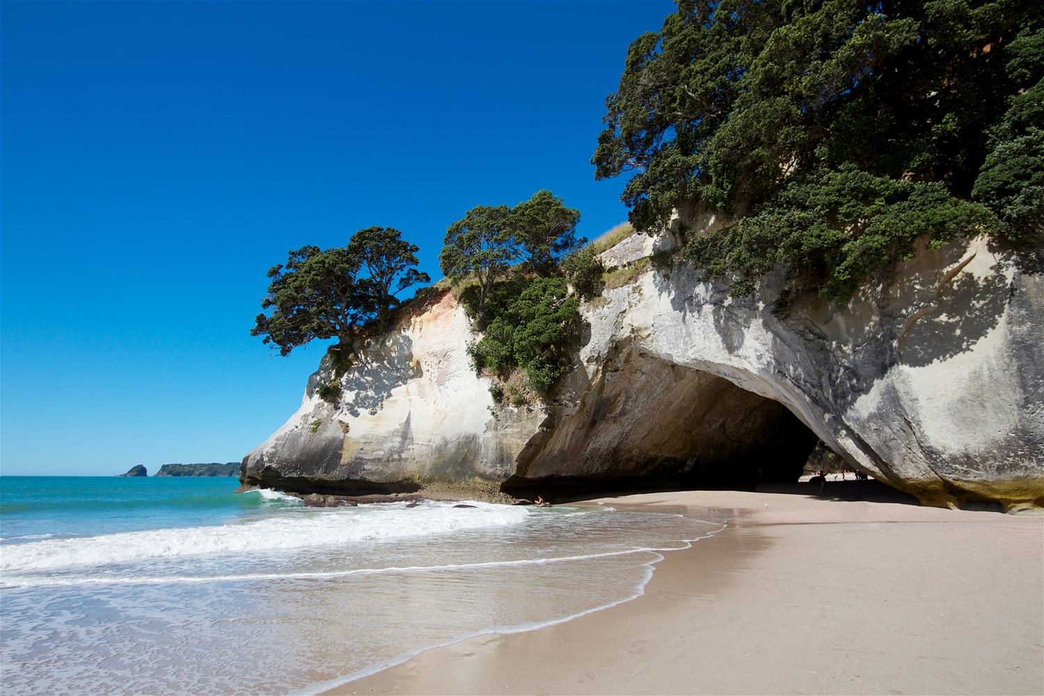 Coromandel Peninsula & Tauranga