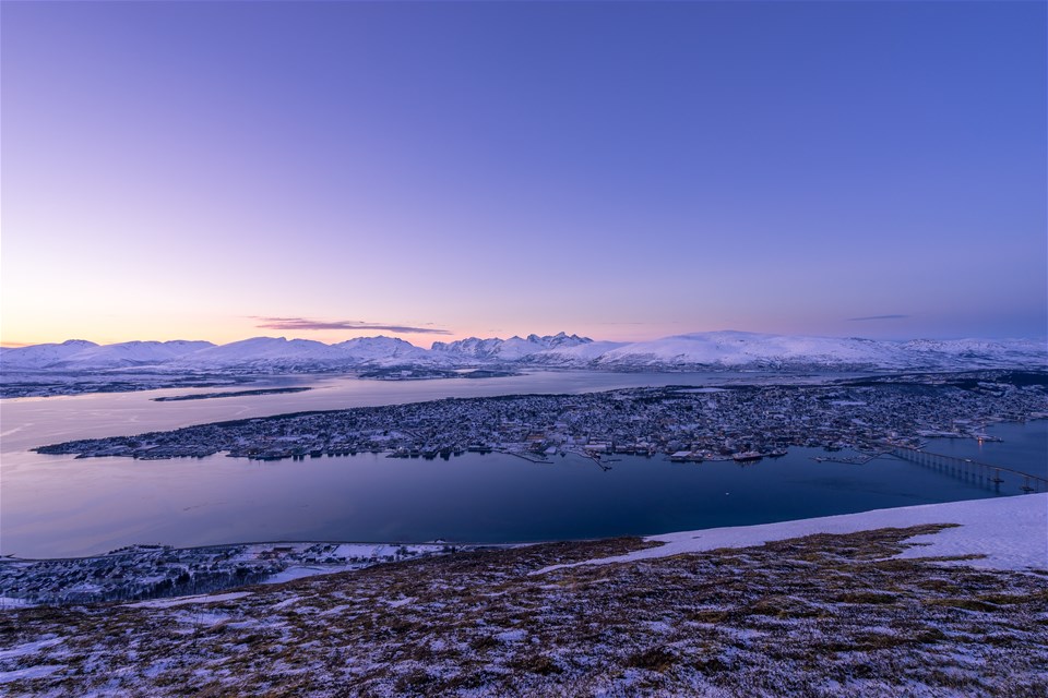 Festive Tromso & Svalbard's Polar Nights