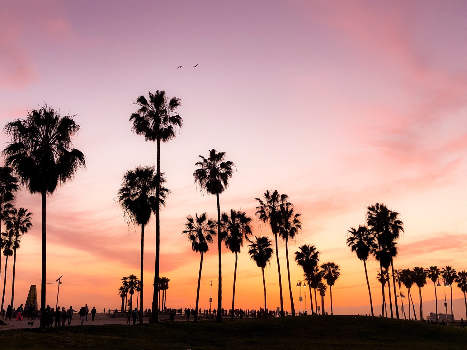 Anaheim & Orange County Beaches