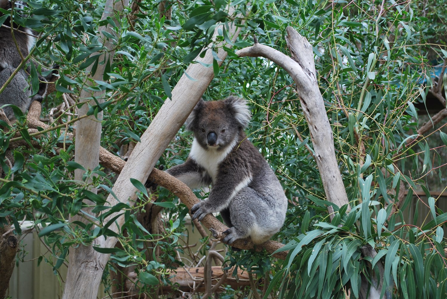 Queensland