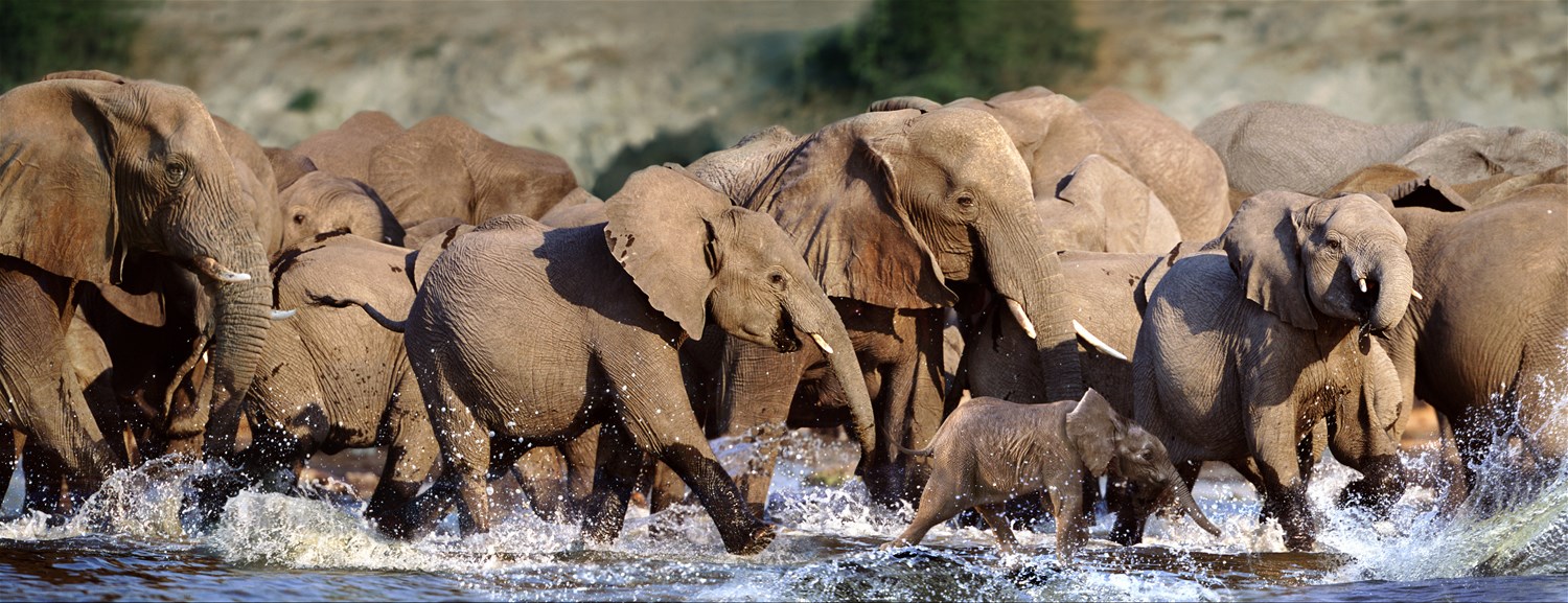 Chobe National Park