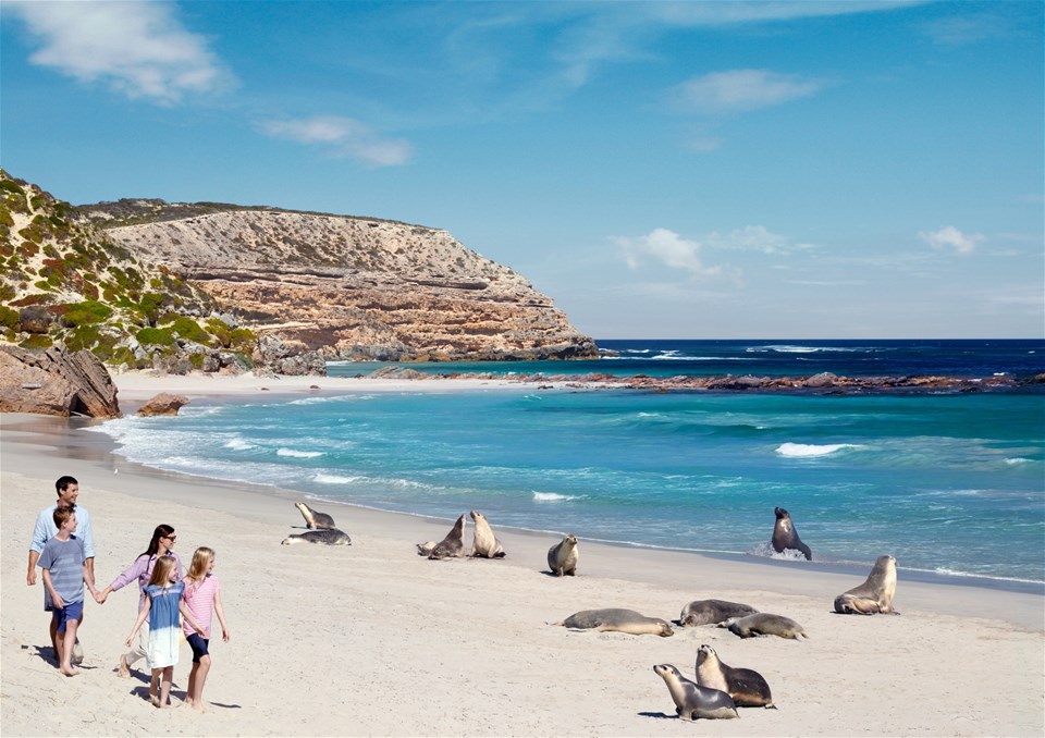 Wildlife & Wonders of Southern Australia