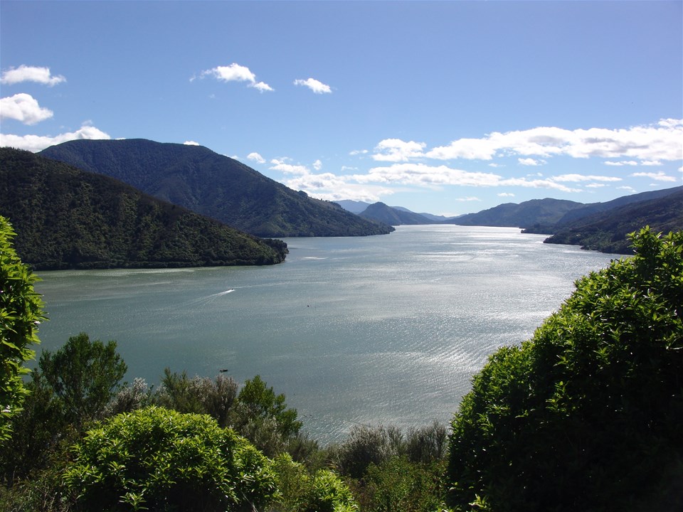 3 Night Queen Charlotte Track Package