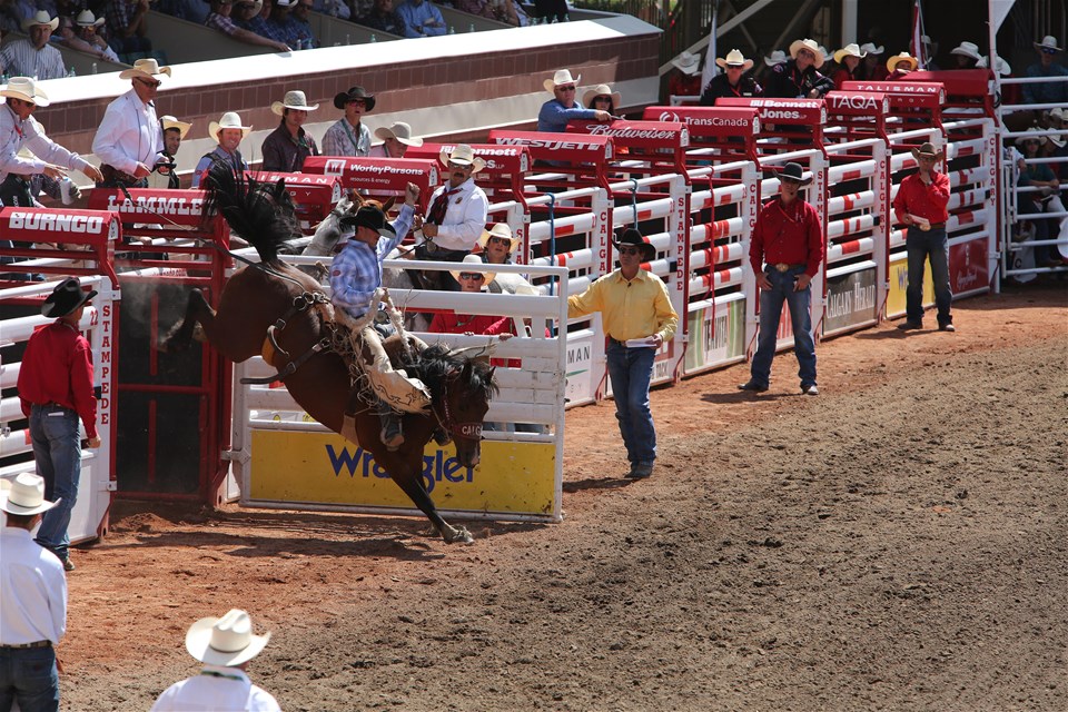 Calgary Stampede, The Rockies & Radiant Alaska