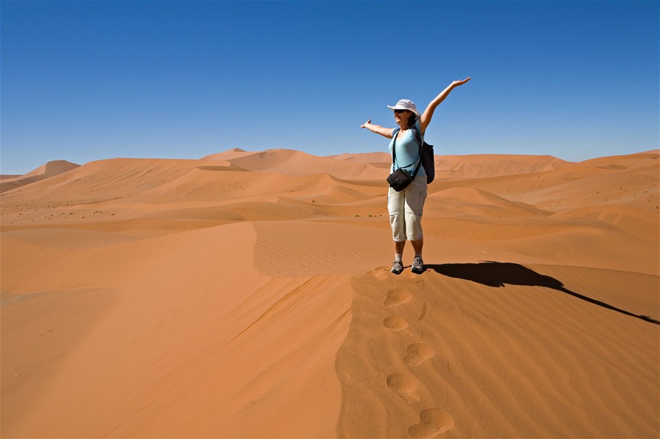 Southern Africa Northbound: Dunes, Deltas & Falls