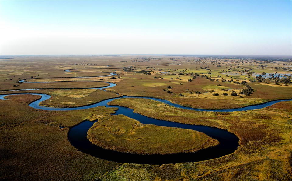 Botswana Wildlife Safari