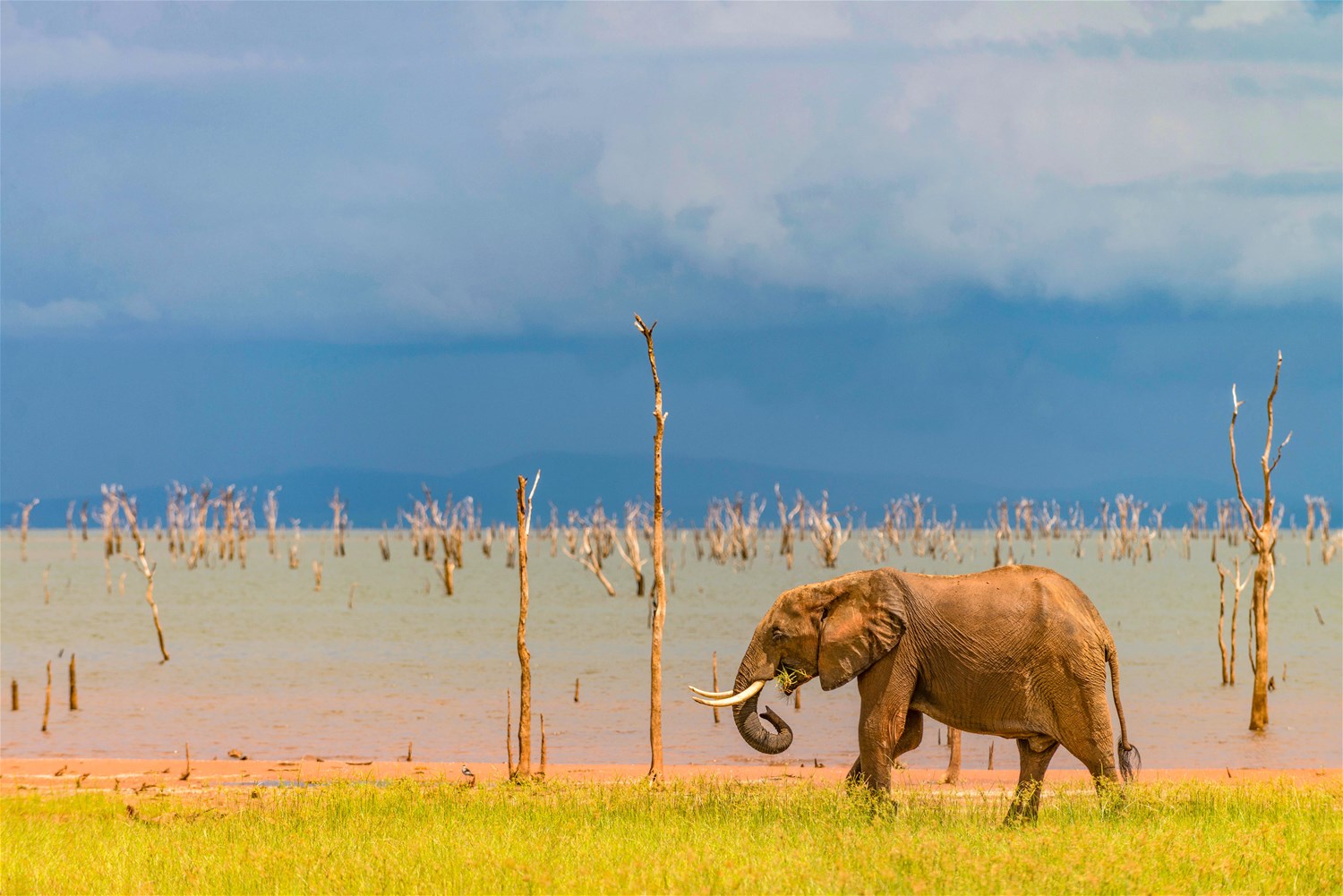 Lake Kariba