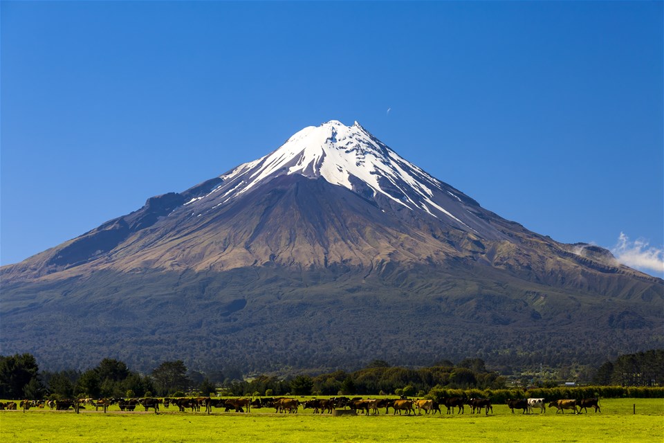 North Island Less Travelled