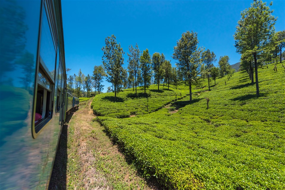 Train Journey through the Tea Country