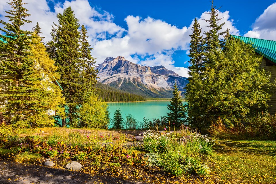 Canadian Rockies: National Parks Eastbound