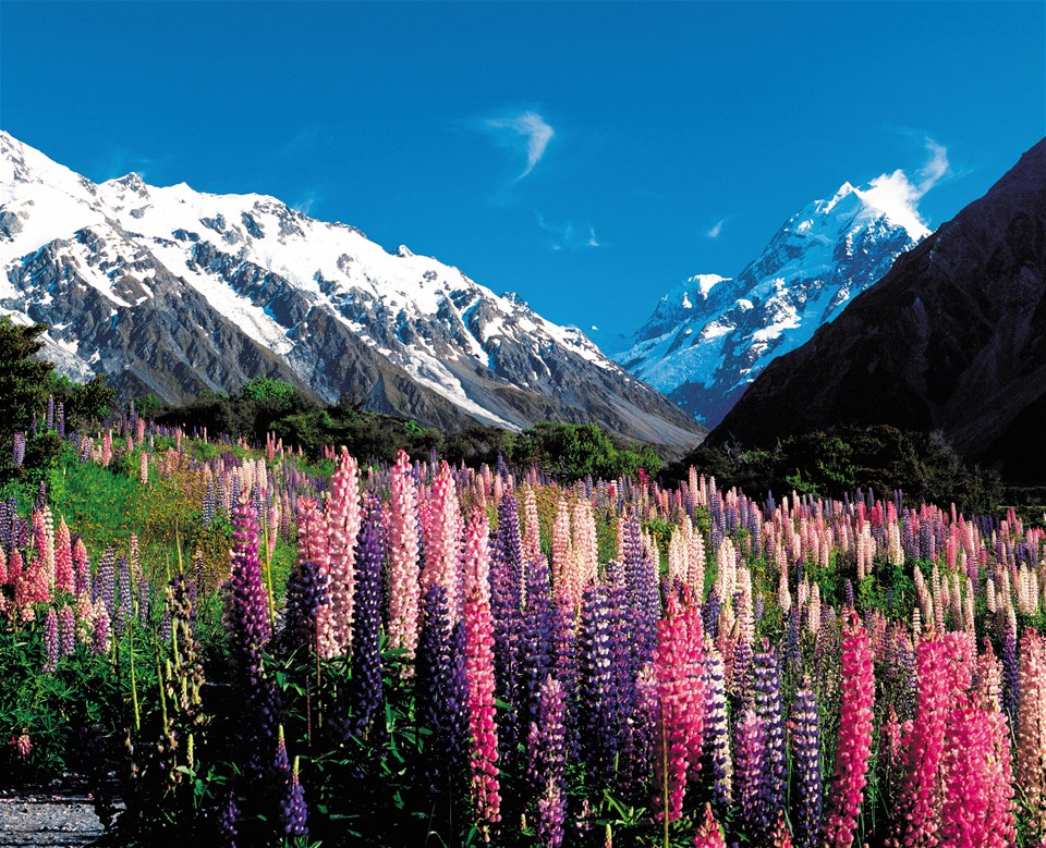 Ultimate South Island