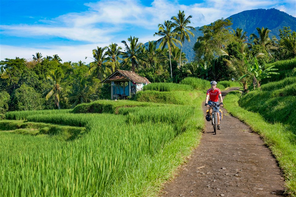 Bali Family Holiday for Teenagers