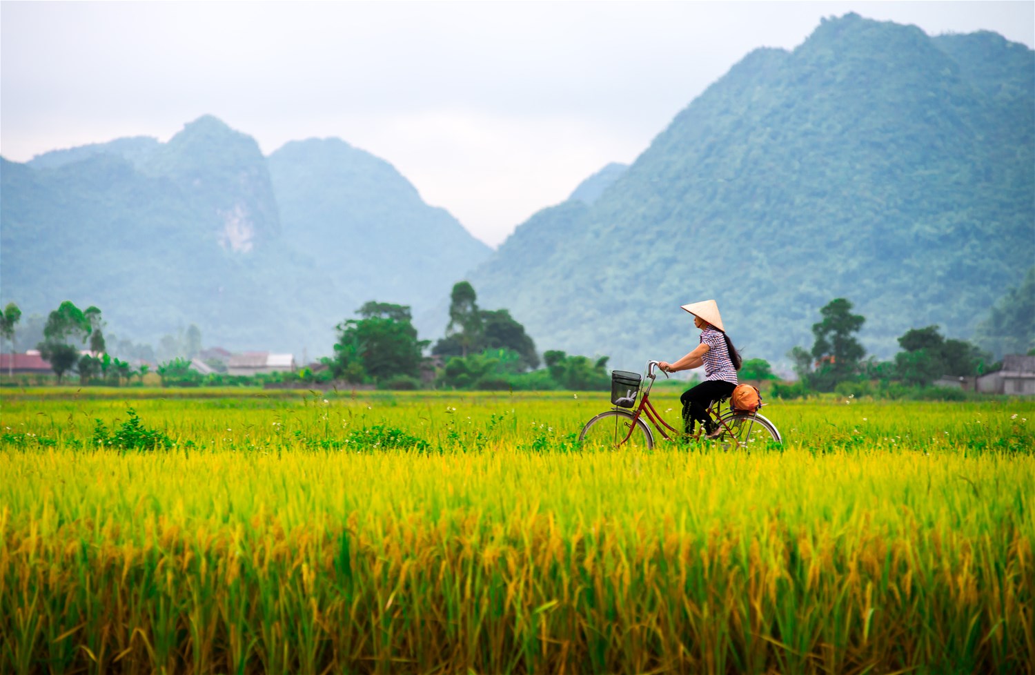 Northern Vietnam