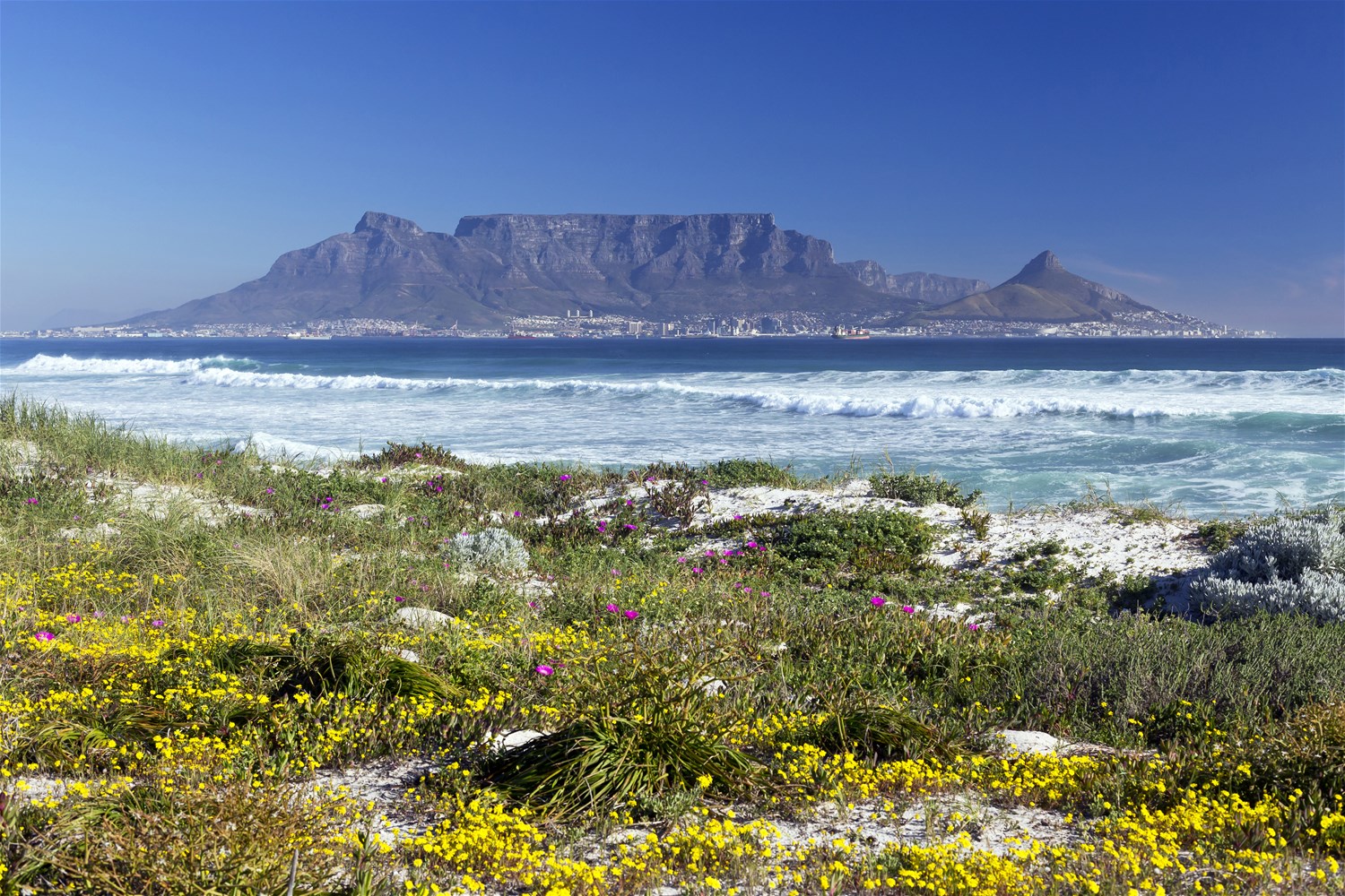 South Africa's Cape Peninsula | Trailfinders