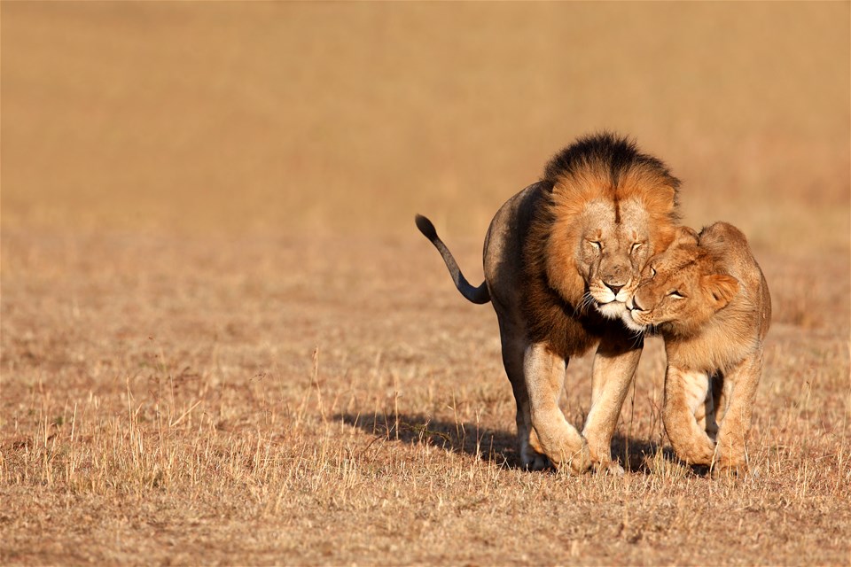 Through The Rift Valley (small group)