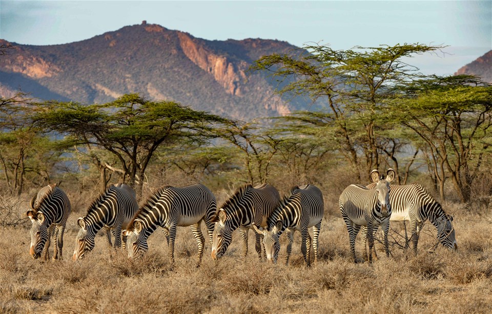 Kenya Holidays 2024/2025 | Trailfinders