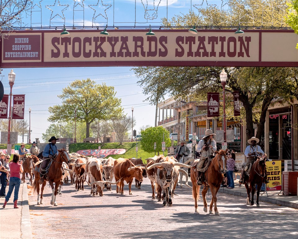 Nashville to Austin - Cowboys, Country Music and Barbecue