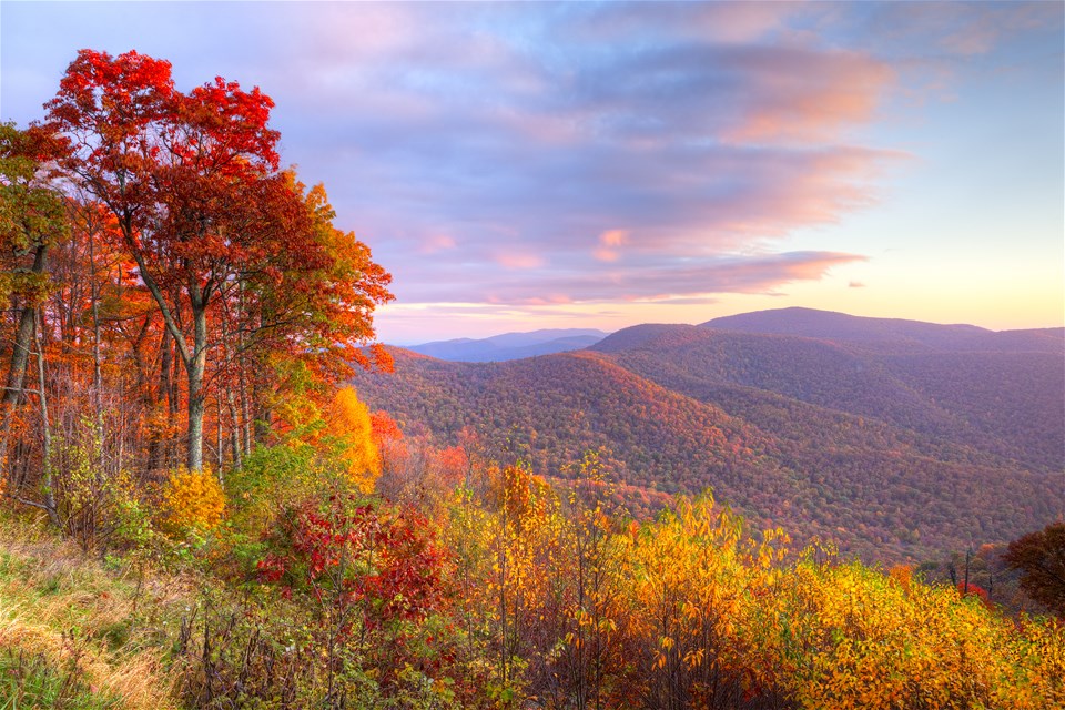 Capital Region & The Blue Ridge Mountains