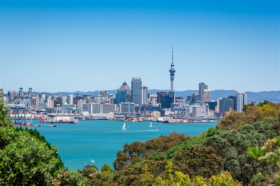 Auckland City Tour