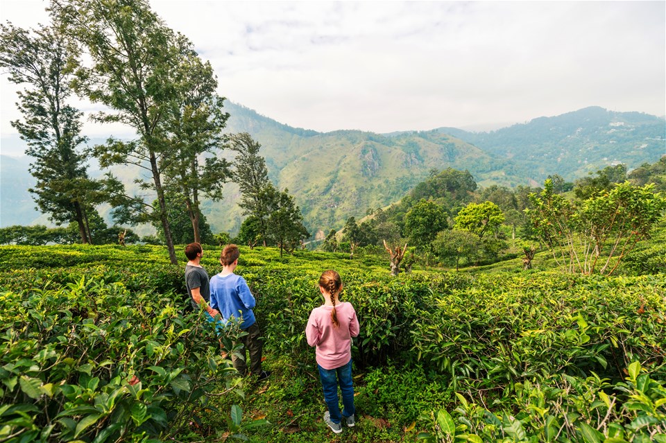 Sri Lanka Family Explorer