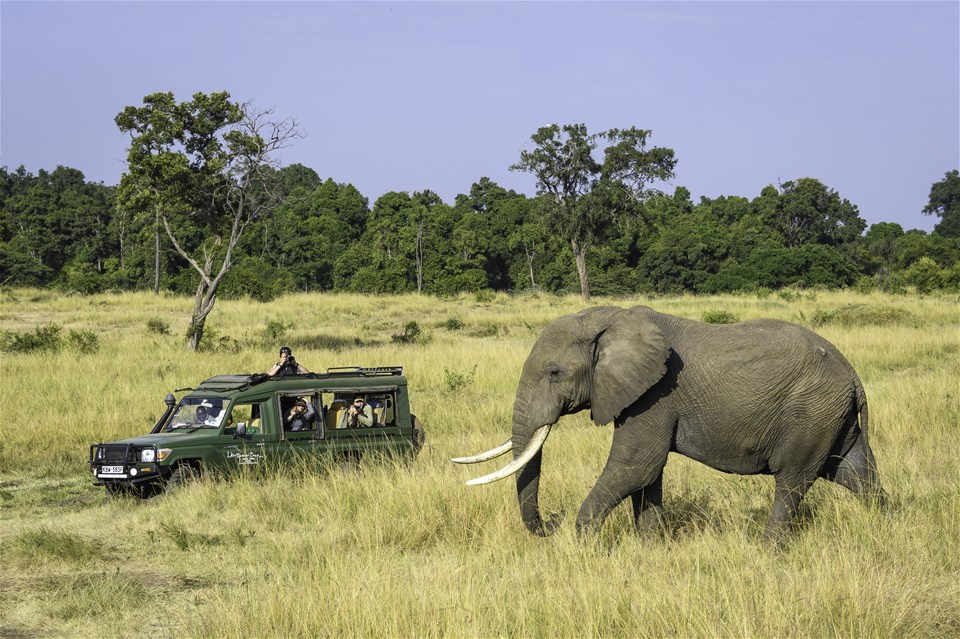 Kenya in Style - The Governors' Safari