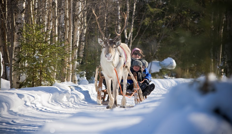 Lapland Winter Wonderland