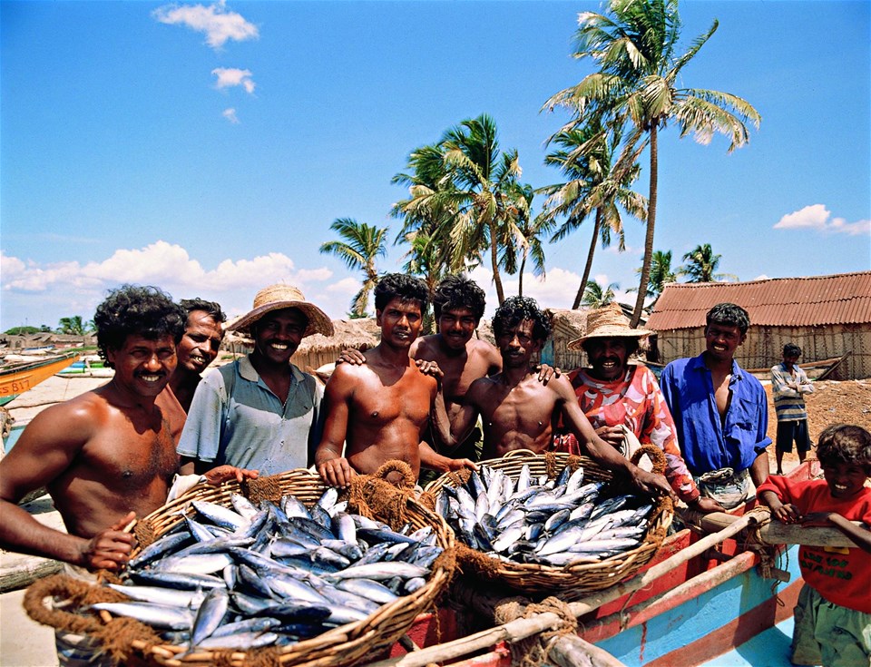 Negombo Fish Market Visit