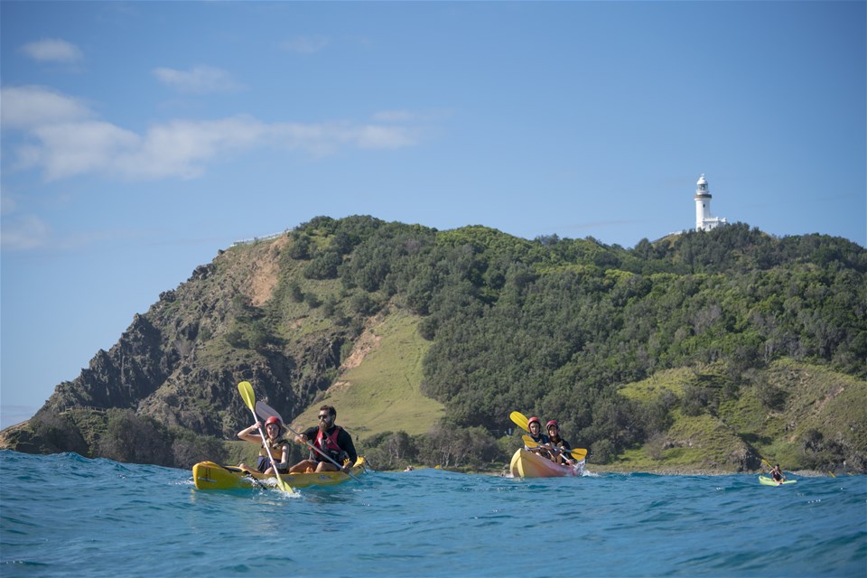 Kayak With Dolphins