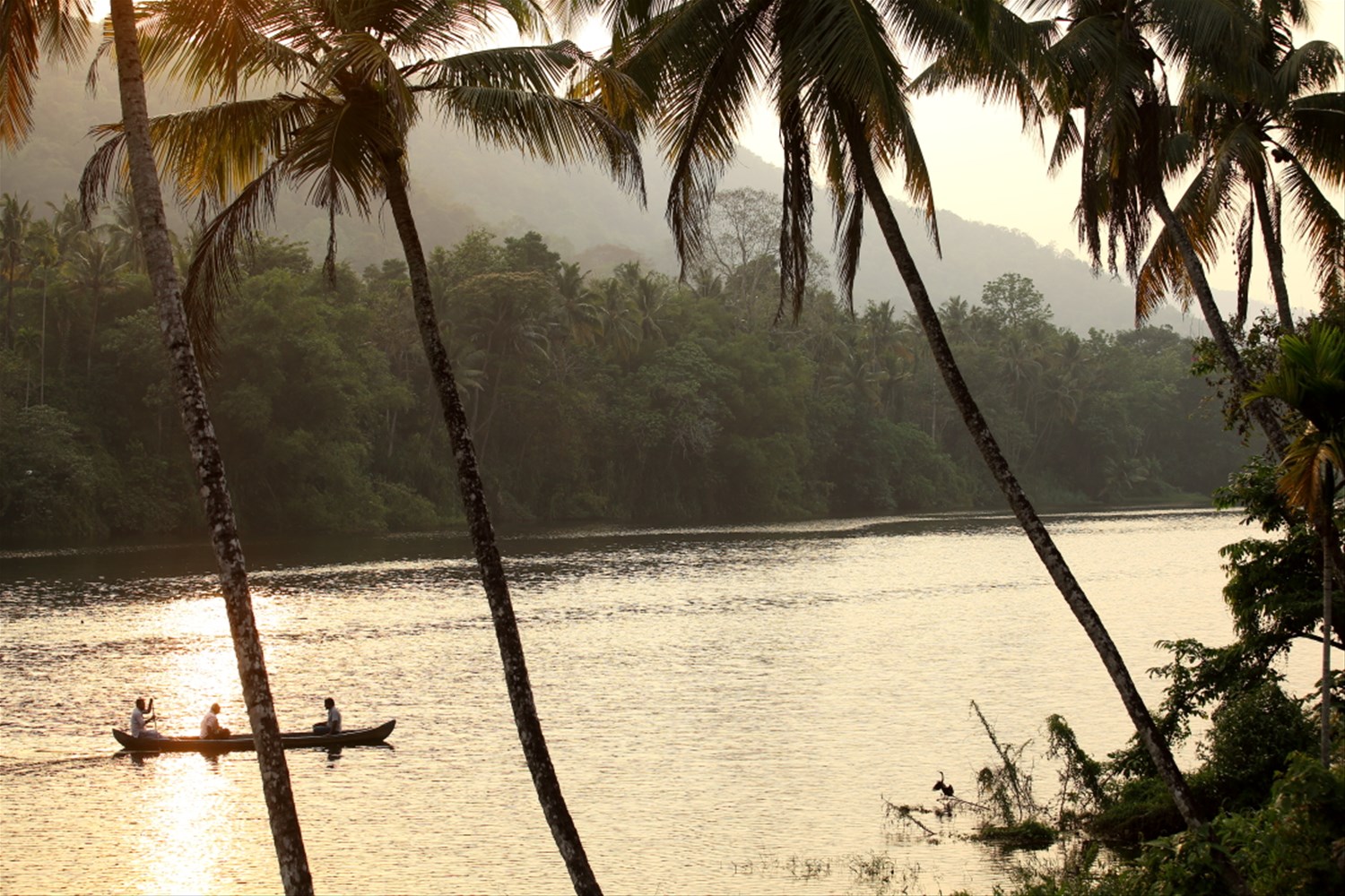 Periyar River