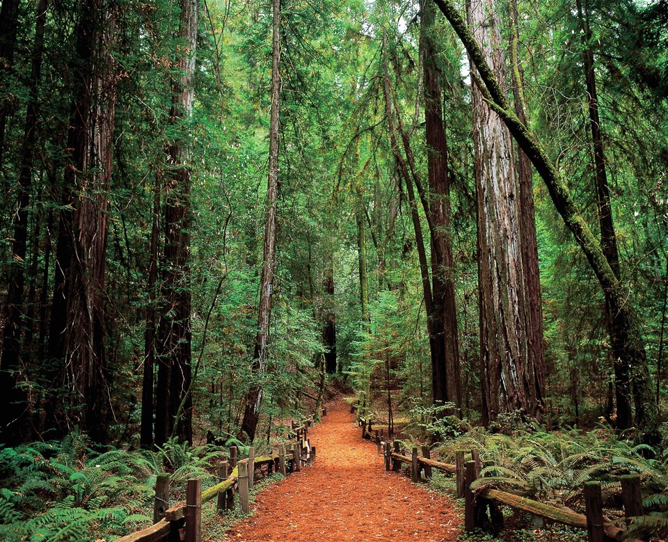 Alcatraz, Muir Woods & San Francisco 2 Day Hop-On Hop-Off Bus Tour