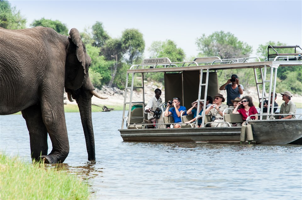 Chobe River Cruising