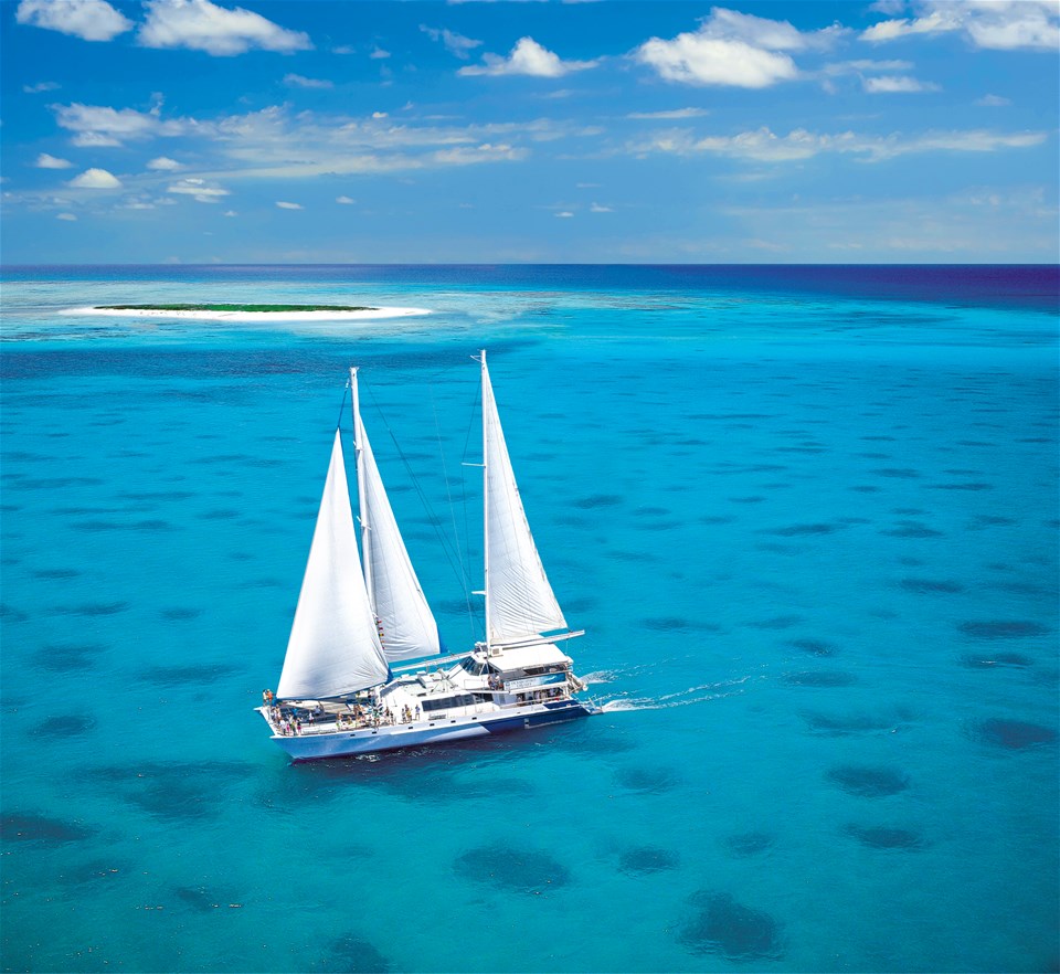 Michaelmas Cay Catamaran Cruise