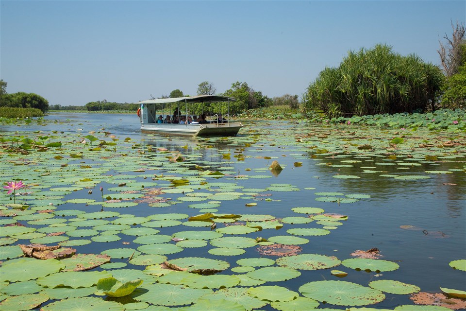 Mary River Wetlands Cruise