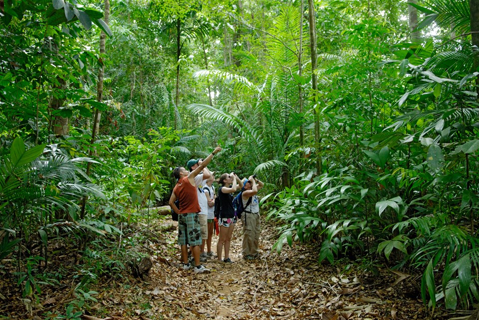 Costa Rica Holidays 2022/2023 Trailfinders
