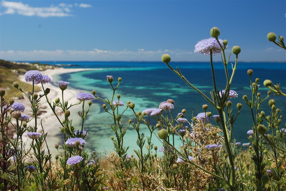 Best of Perth, Margaret River & Rottnest Island