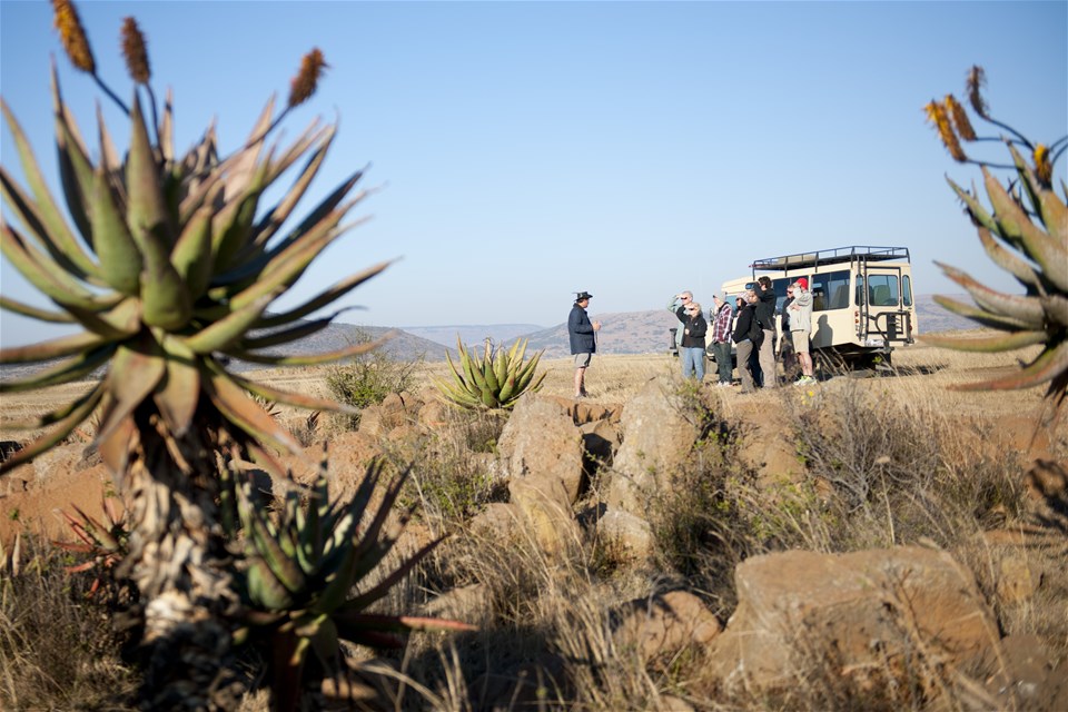 Guided Battle of Spioenkop Tour