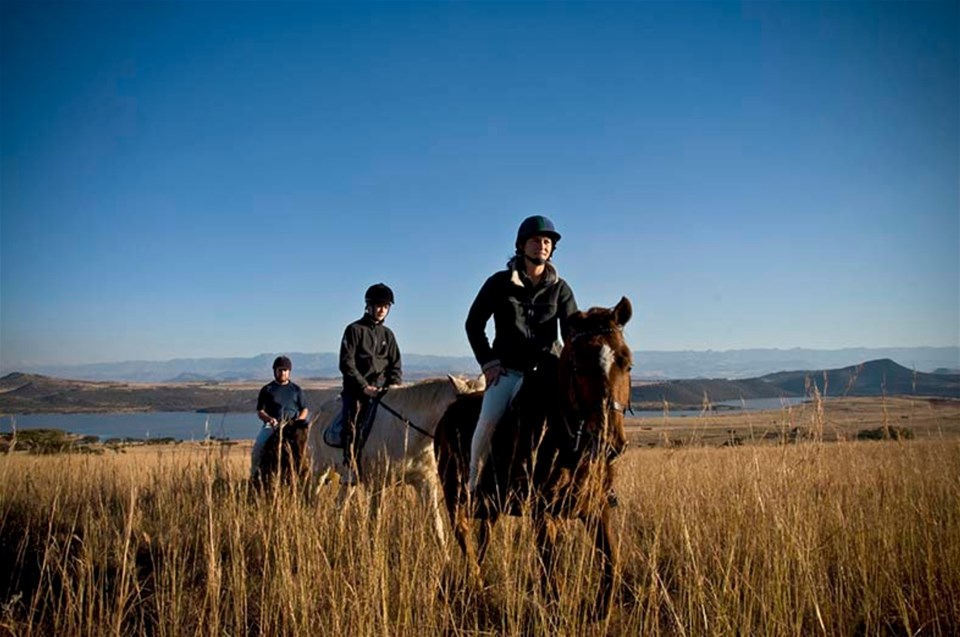 Guided Horse Riding Tour