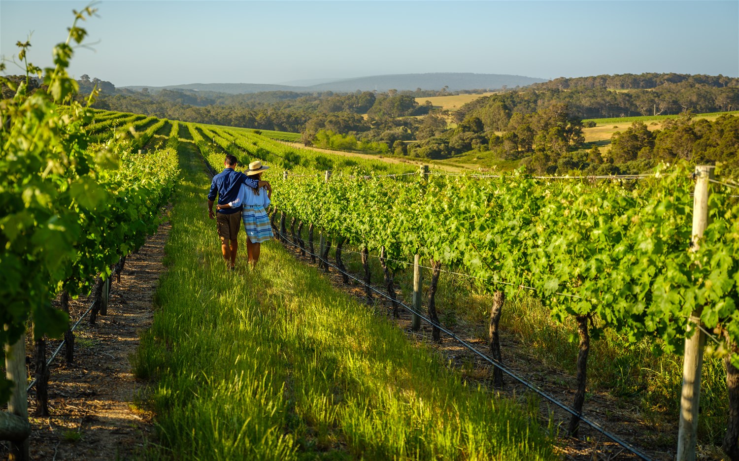 Margaret River Region & The South Coast